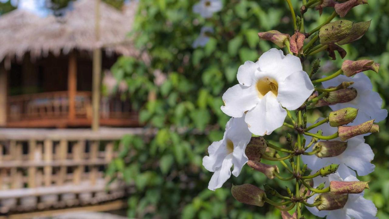 Onong'S Homestay & Cafe トモホン エクステリア 写真